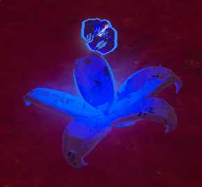 《雨中冒险2》全祭坛效果介绍