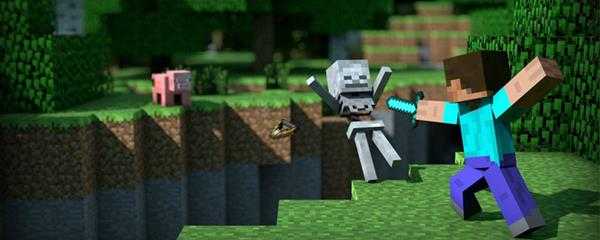 我的世界303是什么