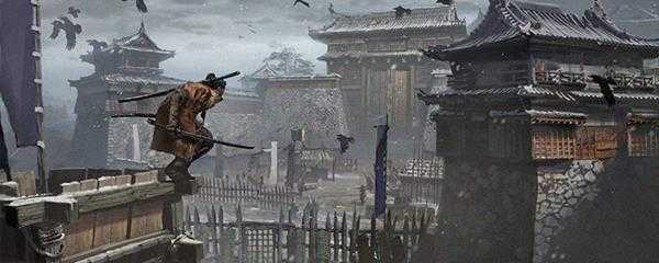 太郎柿有什么用