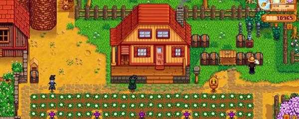 星露谷物语28个人位置