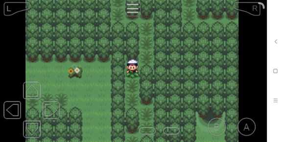 究极绿宝石3mega石地点