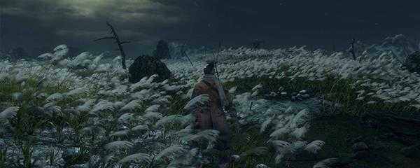 ps4只狼怎么存档