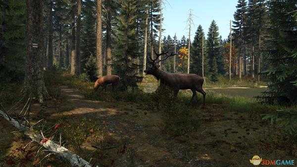 《DayZ》复活在森林应对方法分享