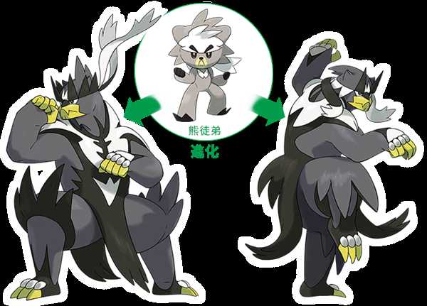《宝可梦：剑/盾》熊徒弟属性外观一览