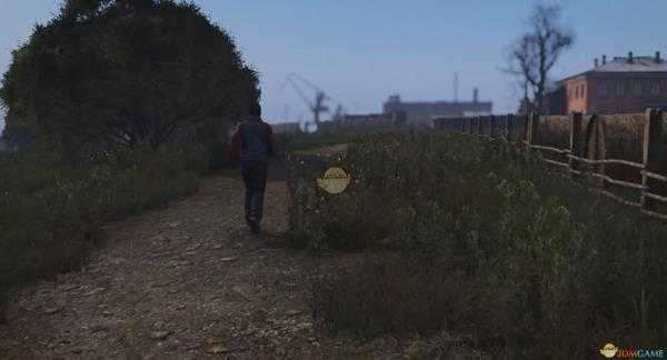 《DayZ》普通感冒解决方法分享