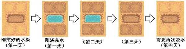 《暖暖村物语》水利全方面攻略