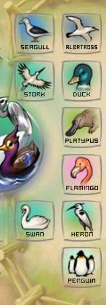 《涂鸦农场》全套动物图解 全动物合成表一览