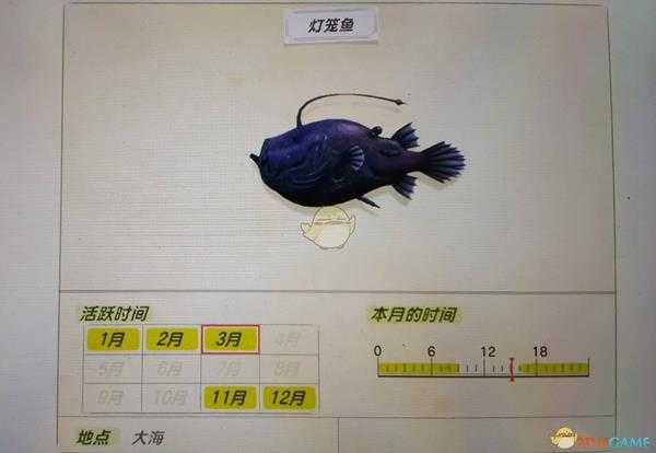 《集合啦！动物森友会》灯笼鱼活跃月份及活跃地点分享