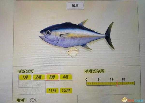 《集合啦！动物森友会》鲔鱼活跃月份及活跃地点分享