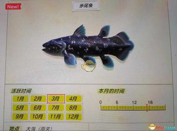 《集合啦！动物森友会》矛尾鱼活跃月份及活跃地点分享