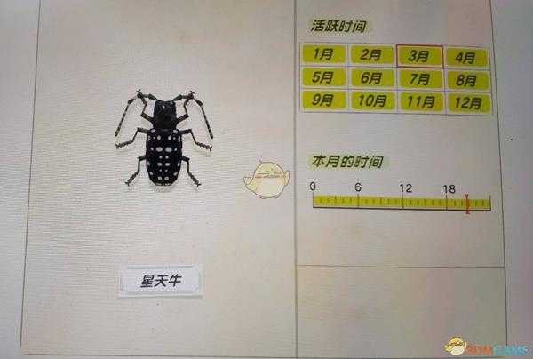 《集合啦！动物森友会》天牛抓捕心得分享