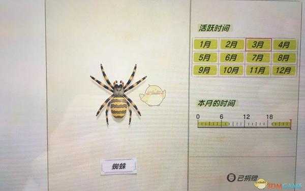 《集合啦！动物森友会》蜘蛛捕捉方法分享