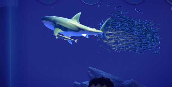 上线即巅峰，《集合啦！动物森友会》发售便登顶销榜