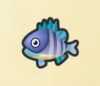 《集合啦！动物森友会》鱼图鉴