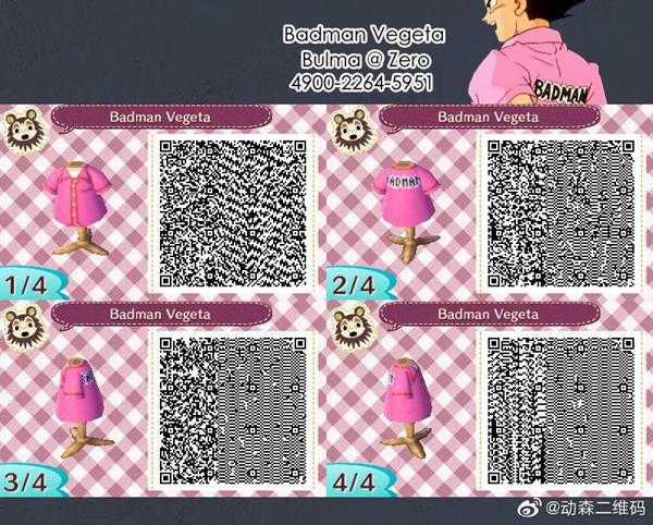 《动物森友会》七龙珠服装二维码