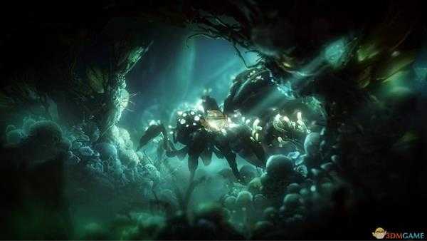 《奥日与萤火意志》跑图流精灵碎片搭配分享