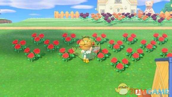 《集合啦！动物森友会》蓝玫瑰种植心得分享