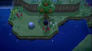 《集合啦！动物森友会》全素材岛参考资料分享