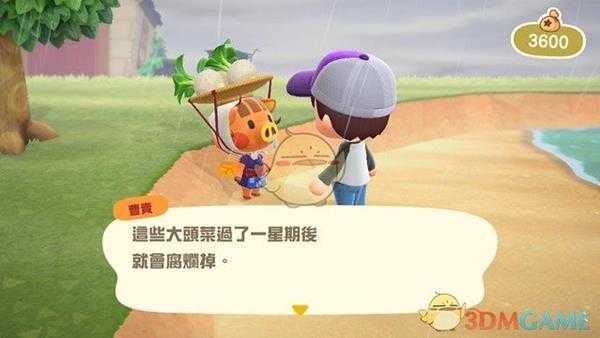 《集合啦！动物森友会》大头菜在哪 大头菜商人位置
