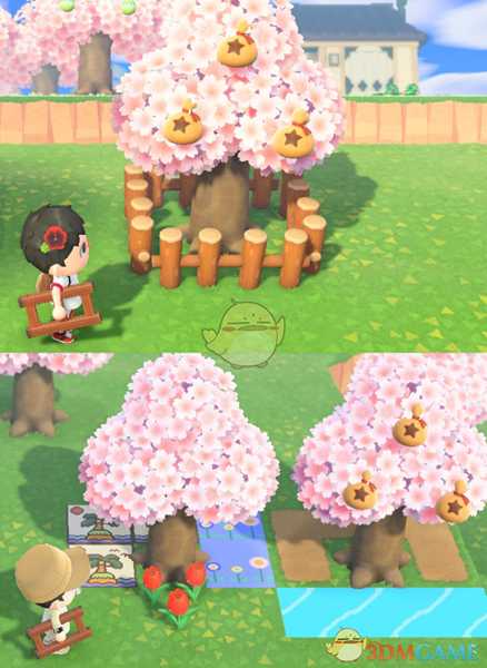 《集合啦！动物森友会》树木生长条件分享