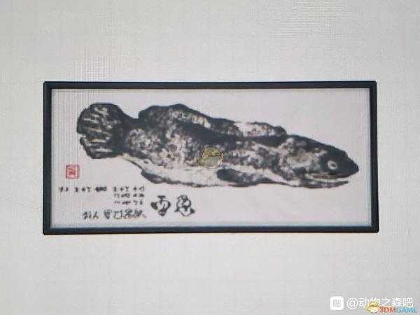 《集合啦！动物森友会》钓鱼大赛全鱼拓样式一览