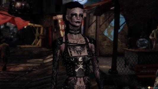 《辐射4》各种掠夺者代码大全一览