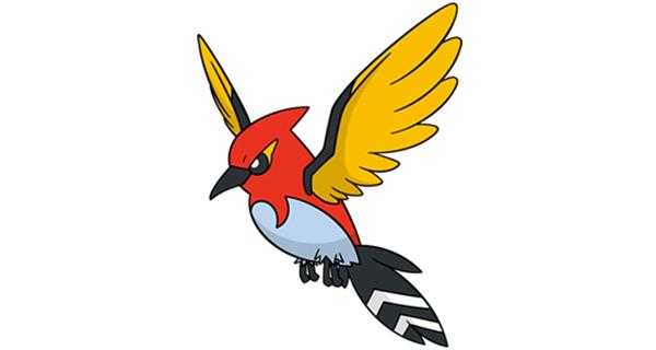 《宝可梦：剑/盾》铠之孤岛火箭雀图鉴