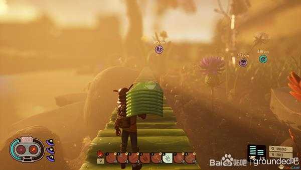 《Grounded》套装选择指南