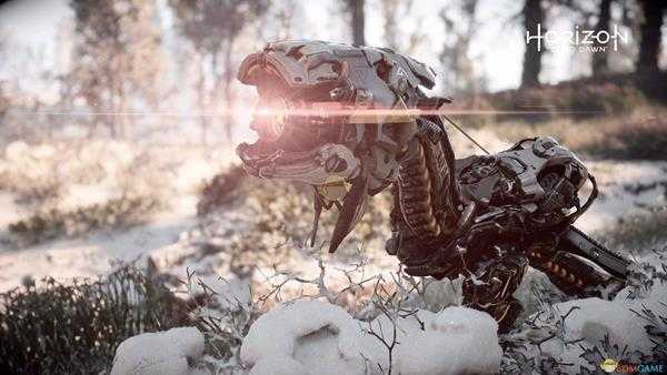 《地平线：零之曙光》摄像头简中与繁中版本名称介绍