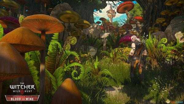 《巫师3：狂猎》全炸弹配方代码一览