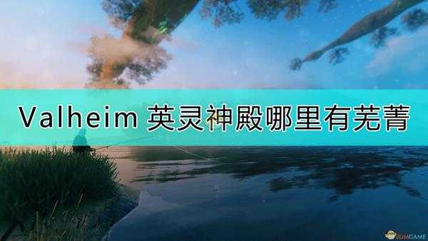 《Valheim:英灵神殿》芜菁的采集地点