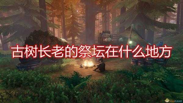 《Valheim:英灵神殿》古树长老的祭坛位置获得方法介绍