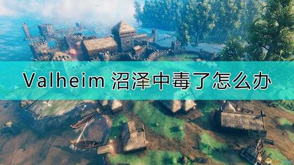 《Valheim:英灵神殿》沼泽中毒的解决技巧
