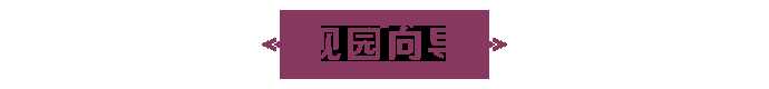 《原神》罗莎莉亚全方位培养指南