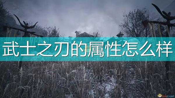 《生化危机8:村庄》豪华版武器属性一览