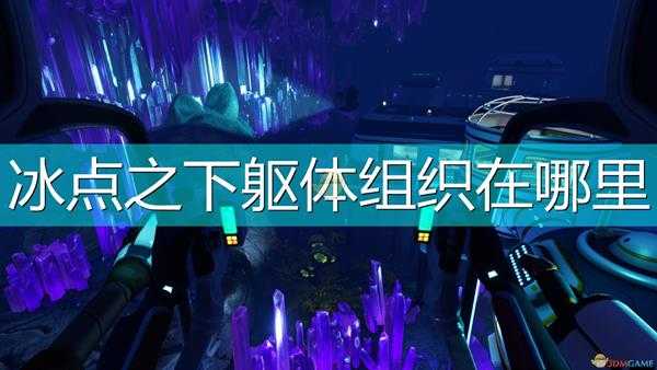 《深海迷航:冰点之下》躯体组织位置介绍