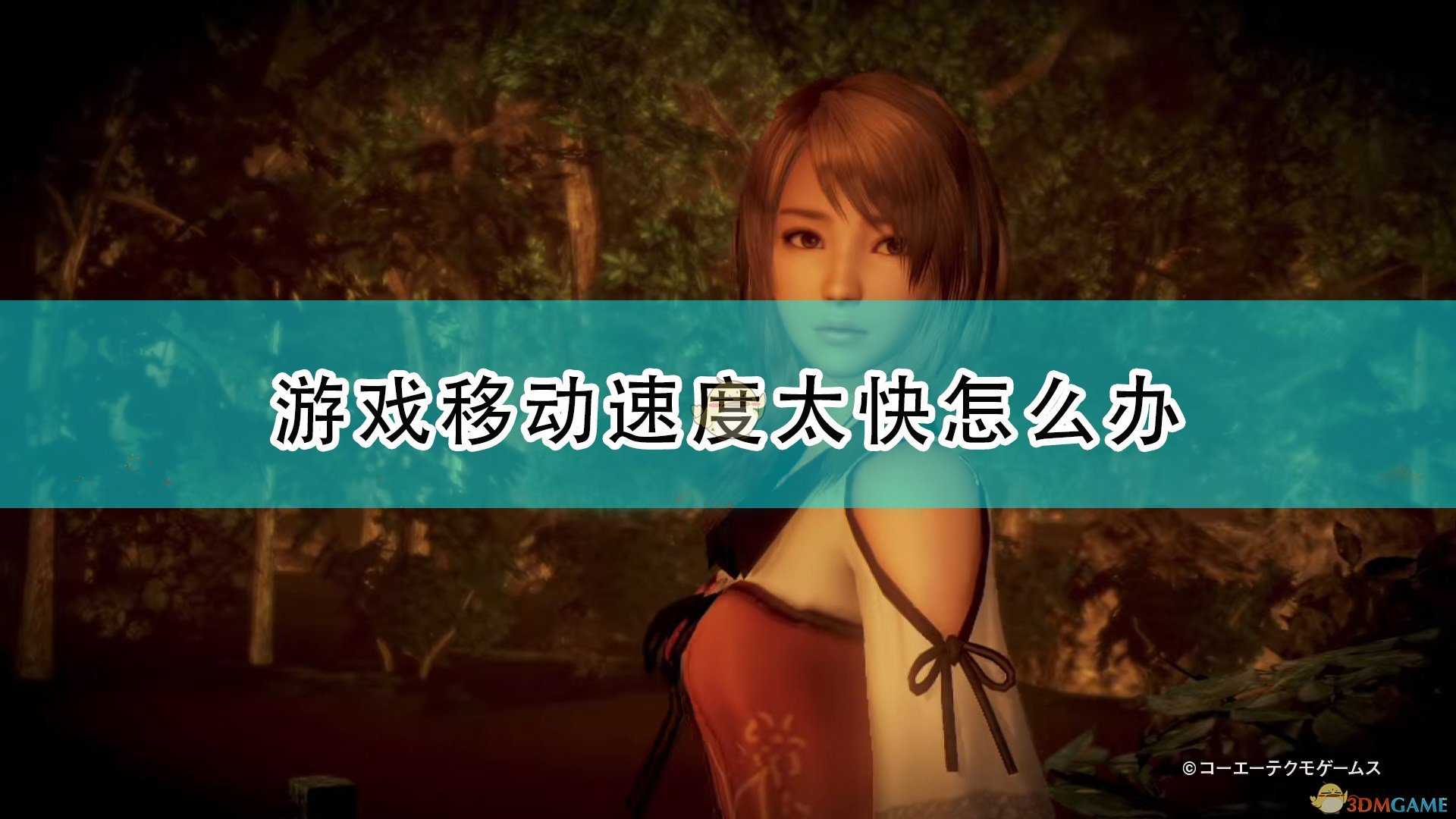 《零:濡鸦之巫女》游戏速度太快解决方法介绍