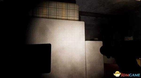 《悬案2：刹那惊颤幸存》 图文攻略 全关卡剧情流程解密攻略