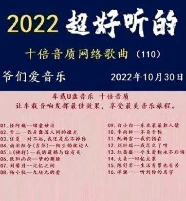 群星《2022超好听的十倍音质网络歌曲(111)》WAV分轨