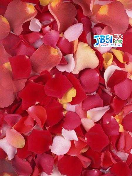 Photoshop教程 :把MM照片制作为花瓣签名