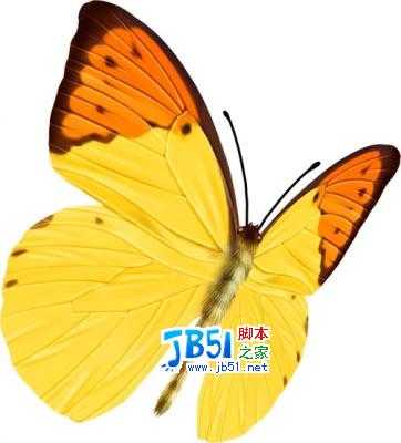 Photoshop教程 :把MM照片制作为花瓣签名