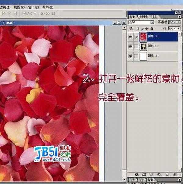 Photoshop教程 :把MM照片制作为花瓣签名