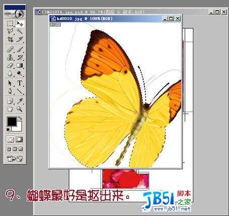 Photoshop教程 :把MM照片制作为花瓣签名