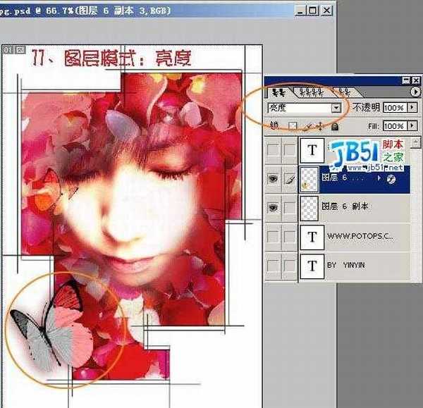 Photoshop教程 :把MM照片制作为花瓣签名