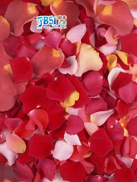 Photoshop照片合成:玫瑰花瓣围绕的女孩