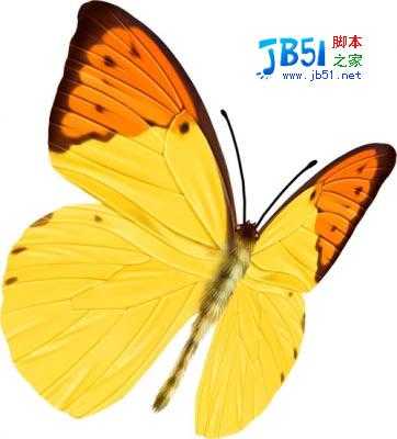 Photoshop照片合成:玫瑰花瓣围绕的女孩