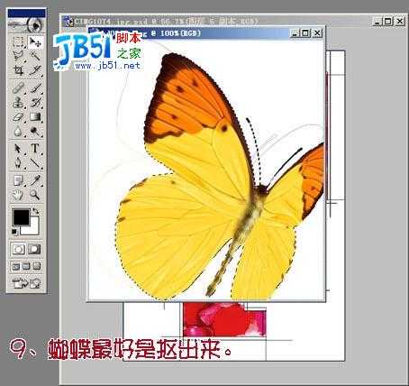 Photoshop照片合成:玫瑰花瓣围绕的女孩